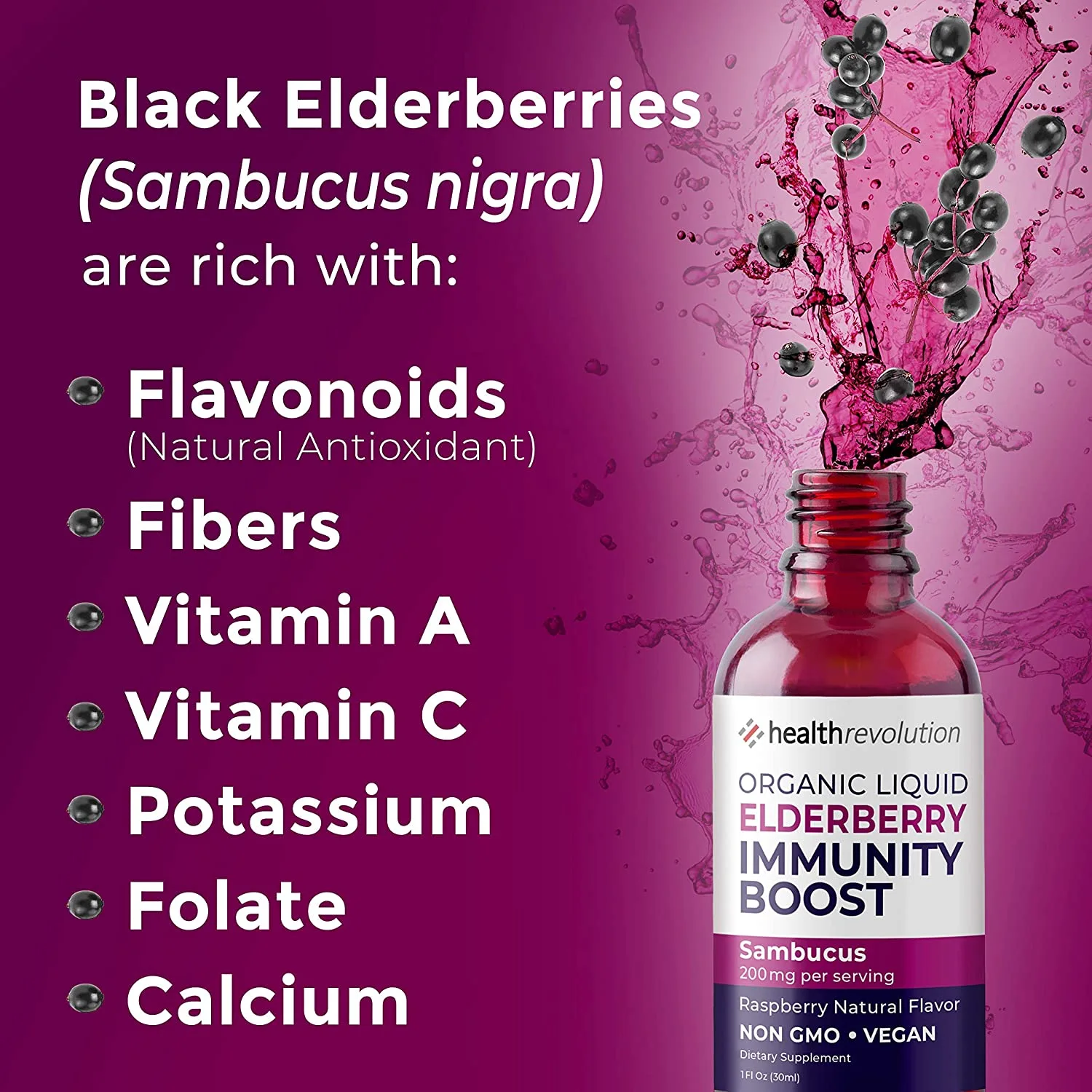 Elderberry1